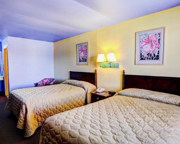 Nites Inn image 12