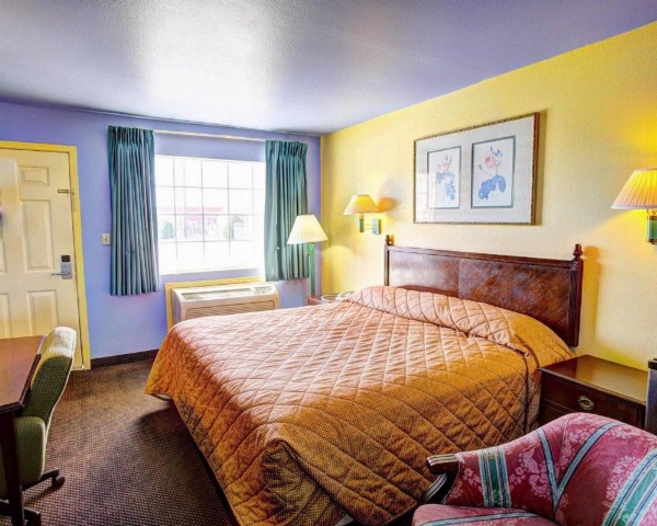 Nites Inn image 15